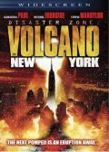 灾难地带：纽约火山海报