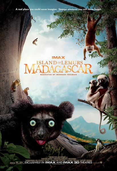 马达加斯加：狐猴之岛海报