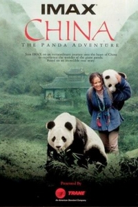 与熊猫共探险海报