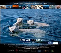 北极熊：一个夏天的奥德赛海报