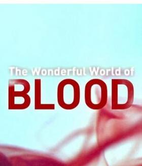 血的奇妙世界海报