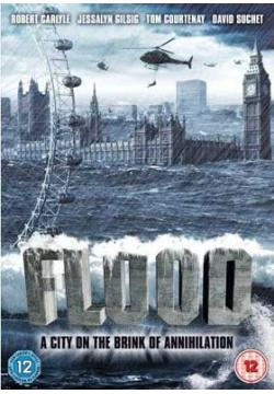 洪水风暴海报