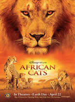 非洲猫科：勇气国度海报