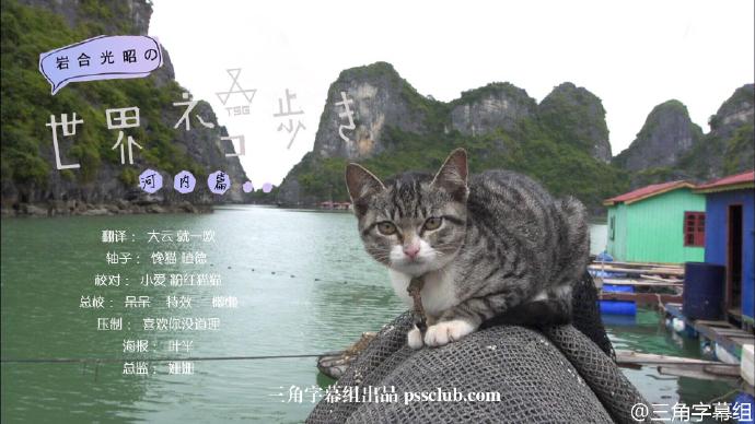 岩合光昭-猫步走世界-河内篇海报