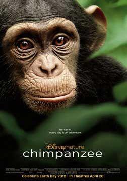 黑猩猩海报